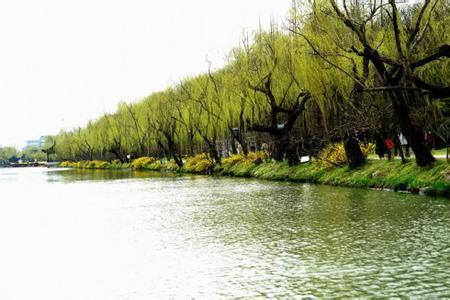 烟花三月下扬州扬州瘦西湖个园住宾馆三日游